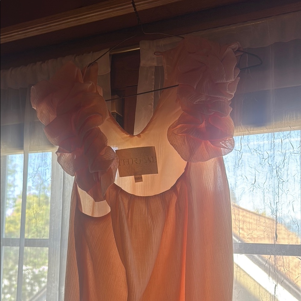 Thread Social Peach Ruffle Mini Dress - Picture 4 of 5